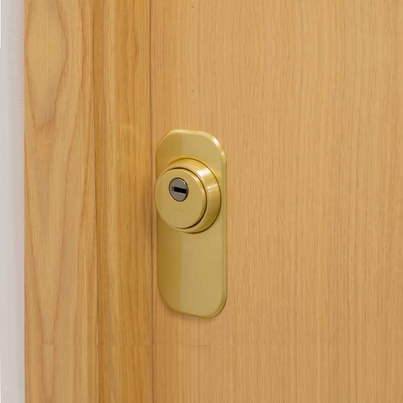 Embellecedor AMIG puerta dorado