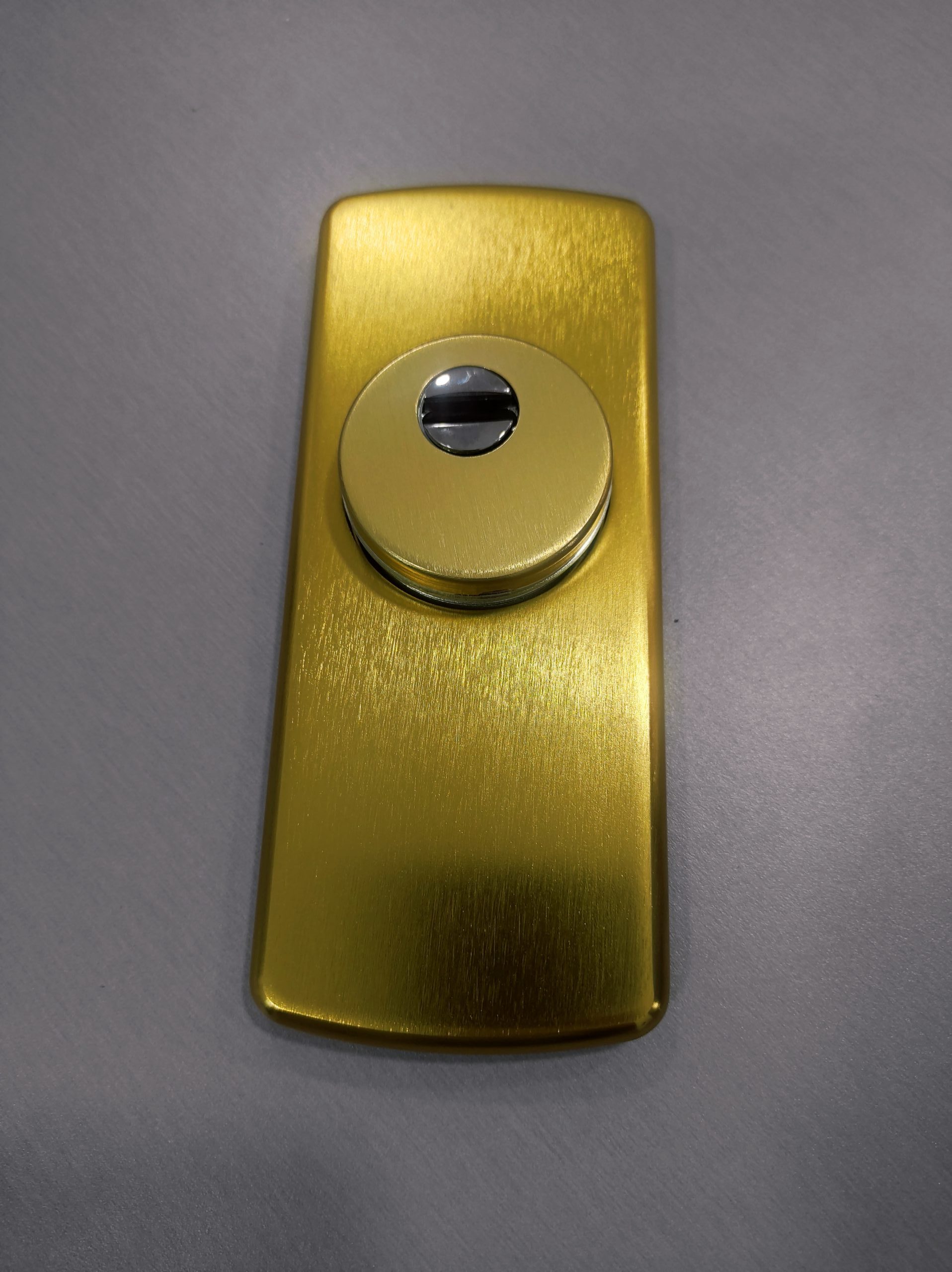 Escudo Protector Cerradura DISEC Basic LG180EZC