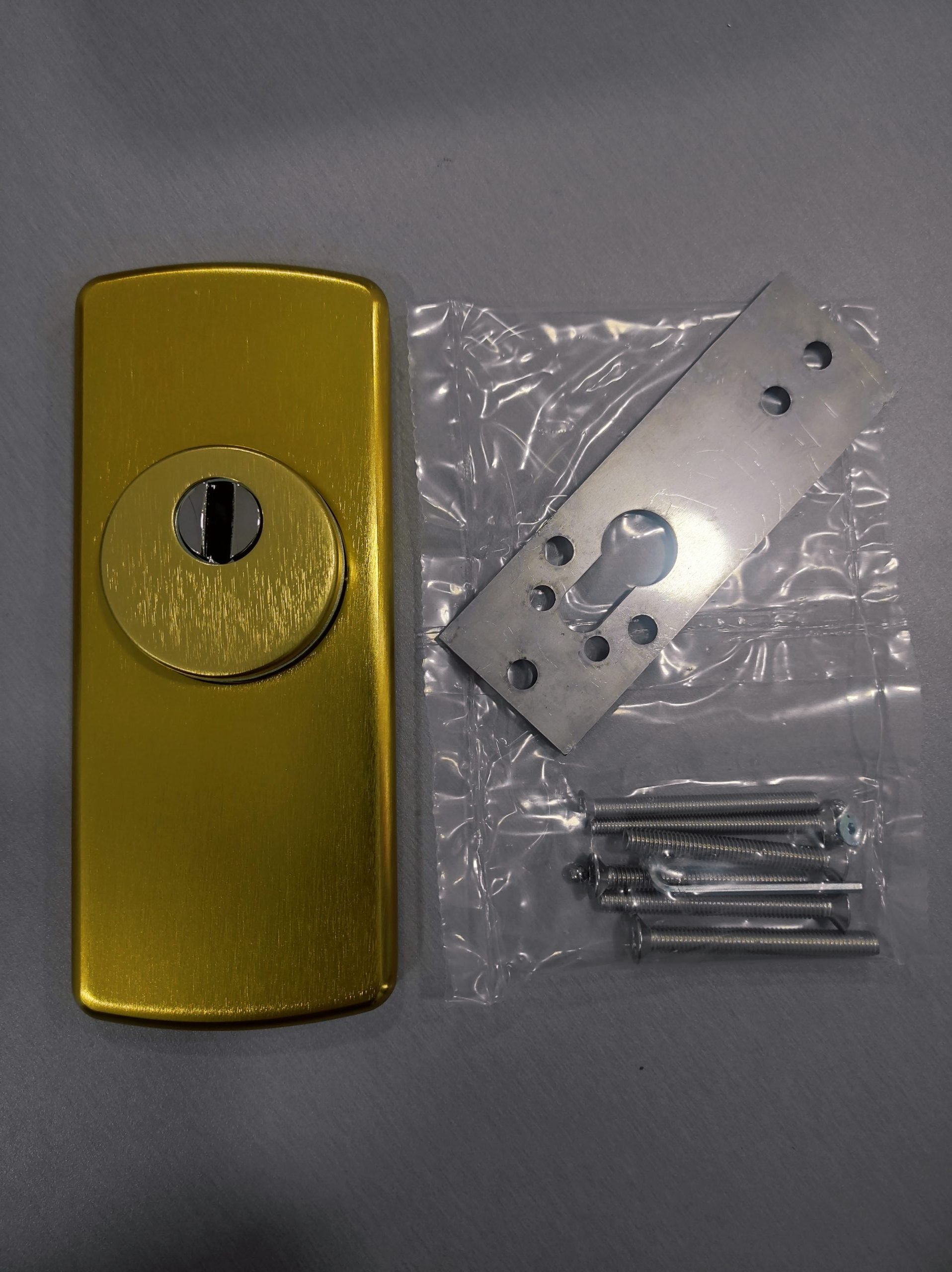 Escudo Protector Cerradura DISEC Basic LG180EZC - Imagen 2